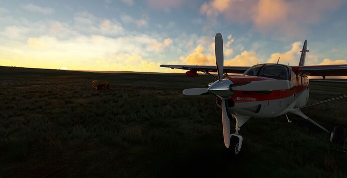 sundown Africa