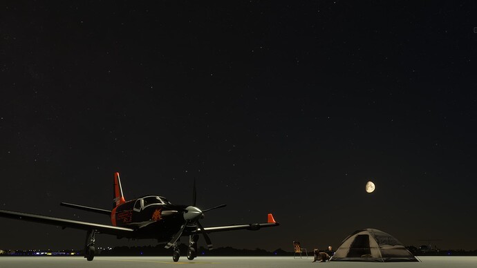 Microsoft Flight Simulator